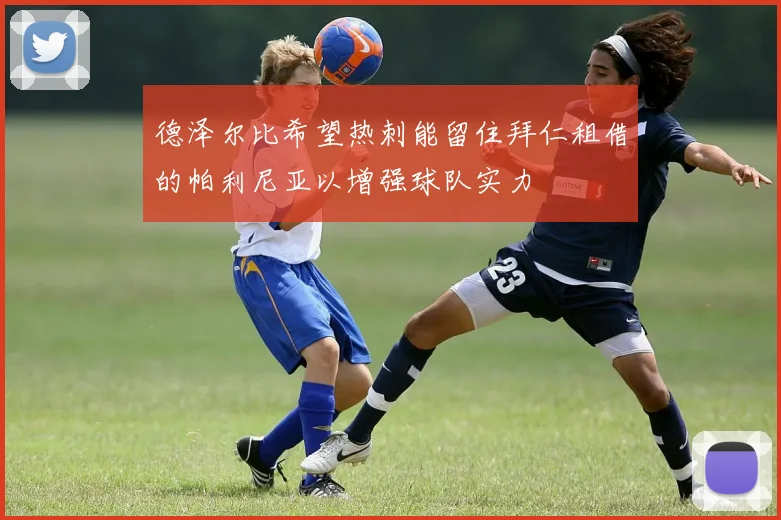德泽尔比希望热刺能留住拜仁租借的帕利尼亚以增强球队实力