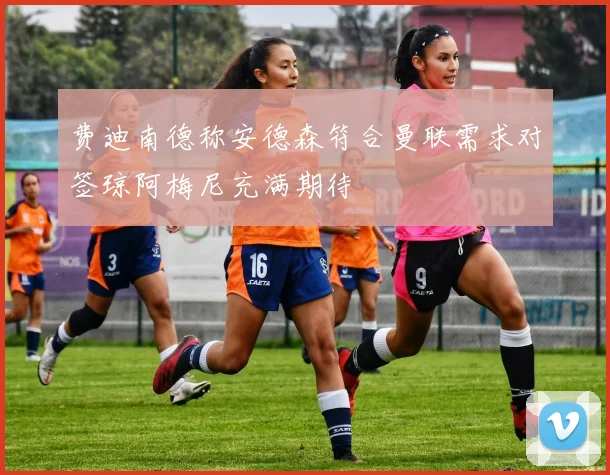 费迪南德称安德森符合曼联需求对签琼阿梅尼充满期待